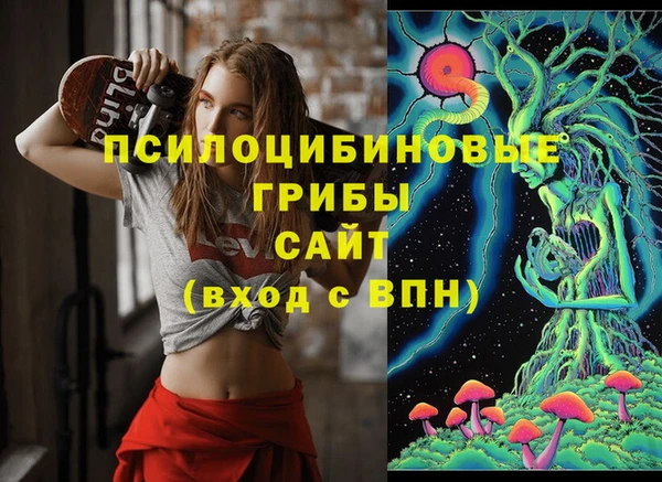 2c-b Алексин