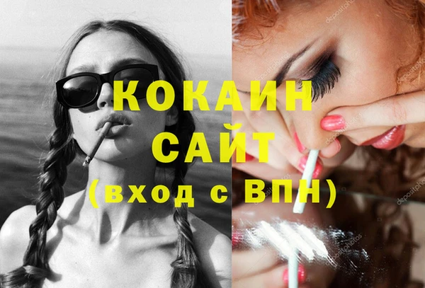 сатива Алзамай