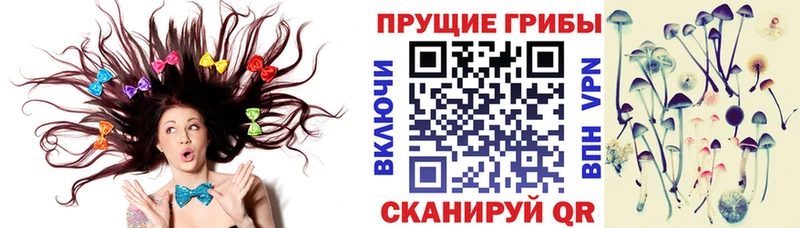 сколько стоит  Югорск  Псилоцибиновые грибы Psilocybine cubensis 