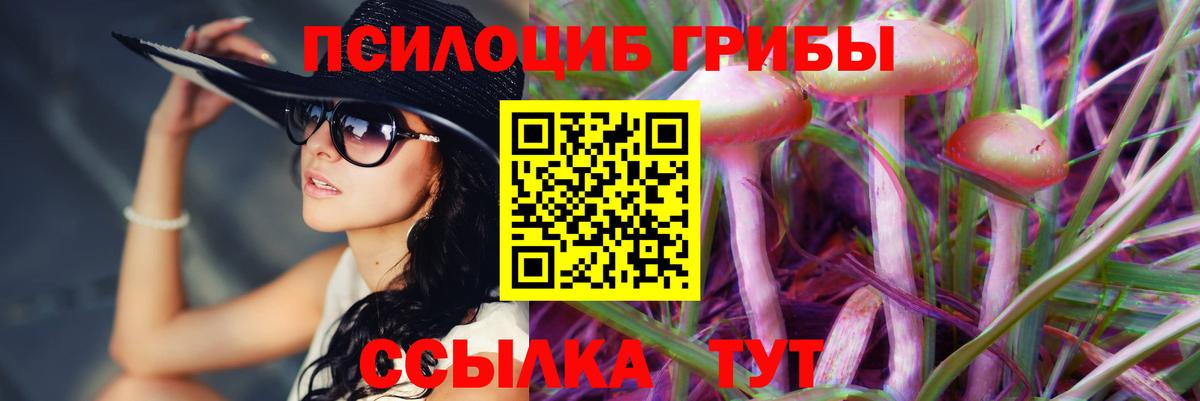Югорск  Галлюциногенные грибы Magic Shrooms  Вход с VPN 